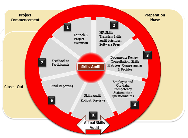 5 Skills Audit Web 1
